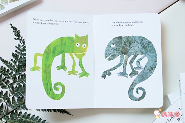 全球知名童書大師艾瑞卡爾Eric Carle ★英文認知硬頁書★ 一歲就能入手～給幼兒最棒的英文學習禮物！