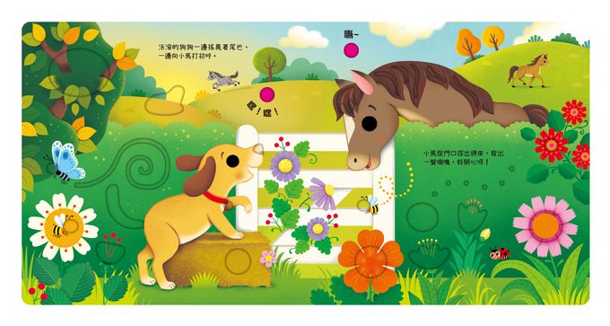 叮叮咚咚音樂會-寵物樂團