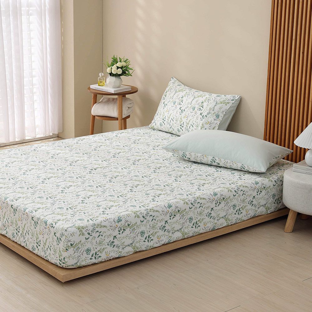 單人床包枕套組 100%精梳棉 純棉-洛伊