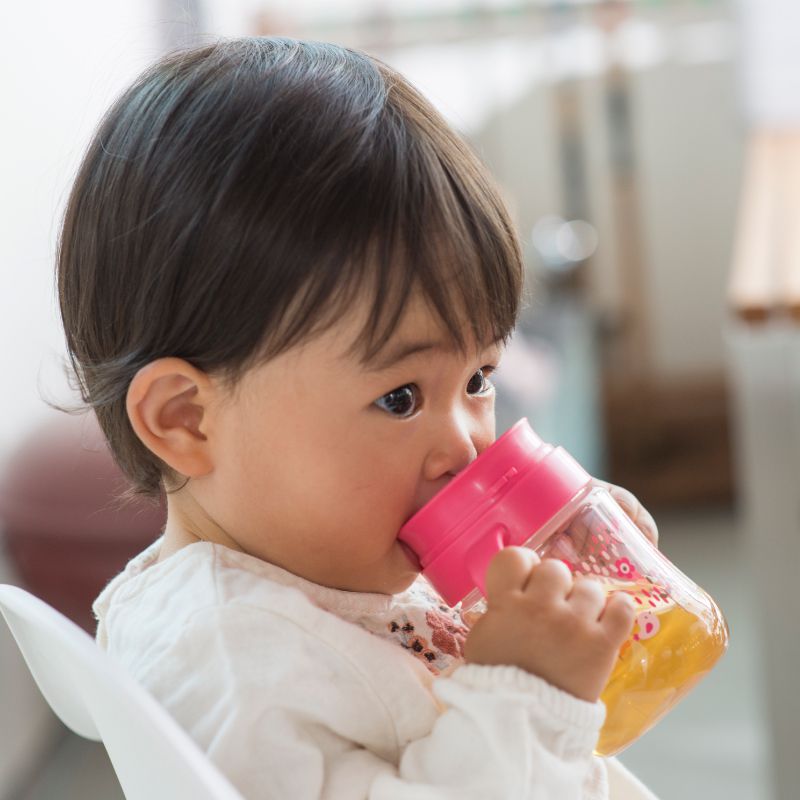 日本 Richell 利其爾 - 花間鹿三階段不鏽鋼水杯禮盒組-吸管配件X2組、360度直飲上蓋(含墊圈)、鴨嘴吸管杯、不鏽鋼吸管杯-紅/粉-8個月適用