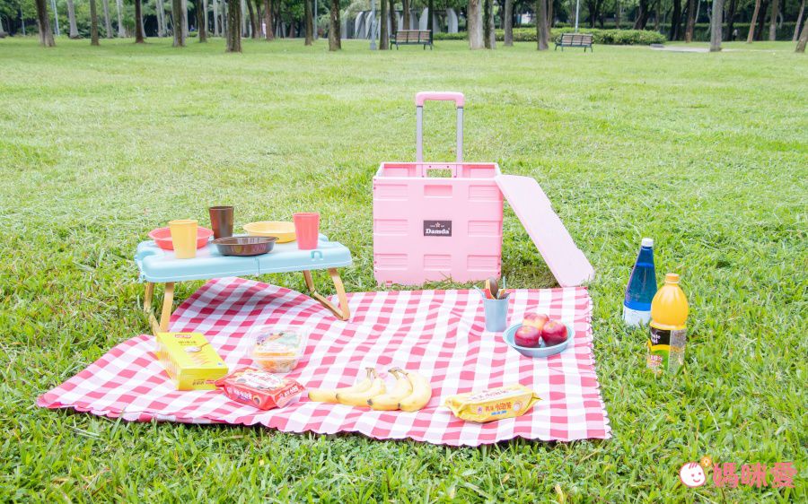外出採買野餐推薦！韓國 Damda 摺疊購物車｜收起後僅 8cm