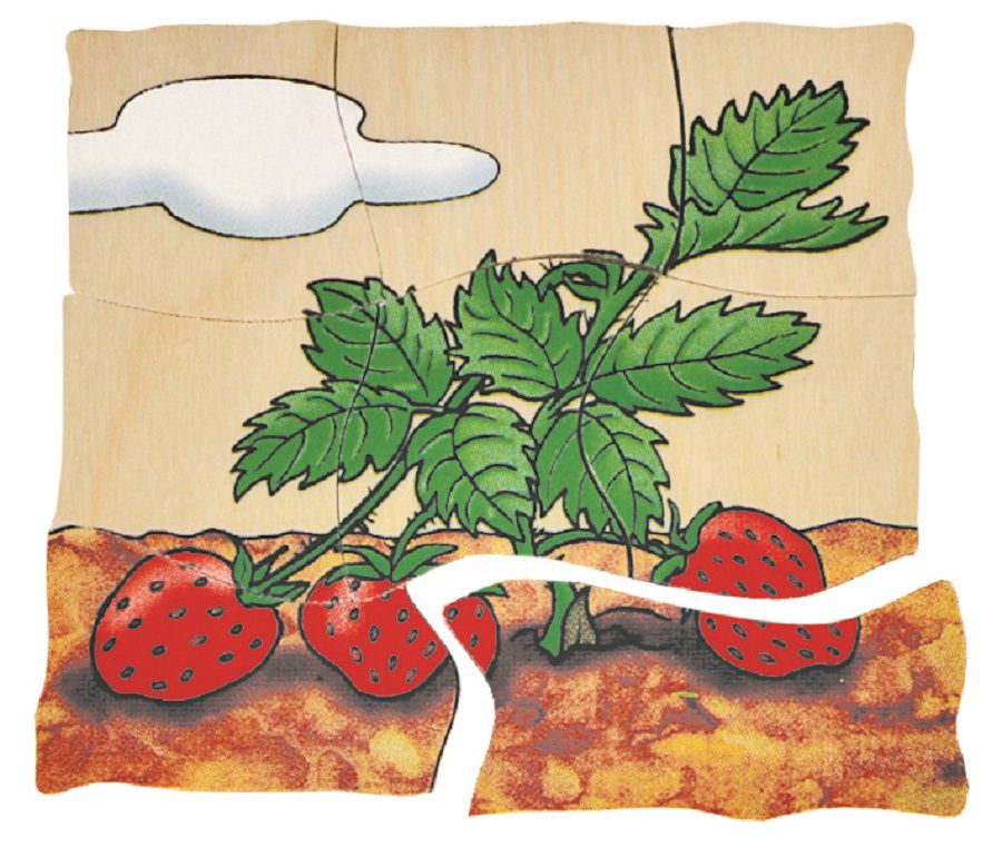 Beleduc - 多層拼圖-草莓