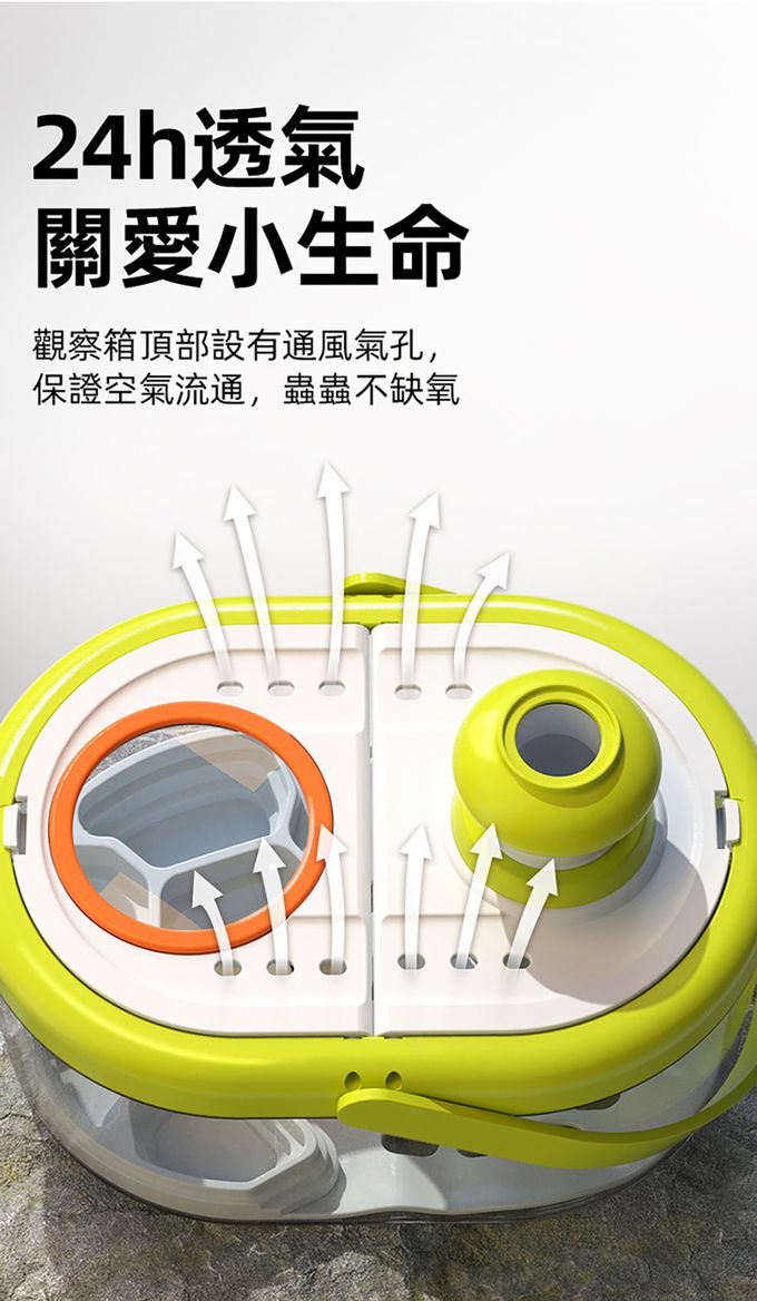 MiDeer - 多功能生態觀察箱套組