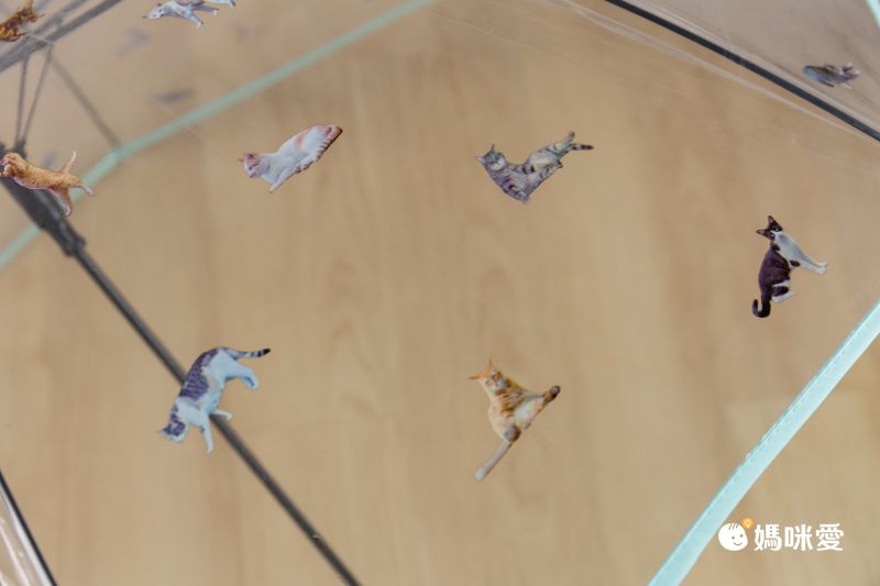 日本中谷 - [日雜推薦] 各種貓咪透明傘/雨傘-粉紫 (傘骨60cm)