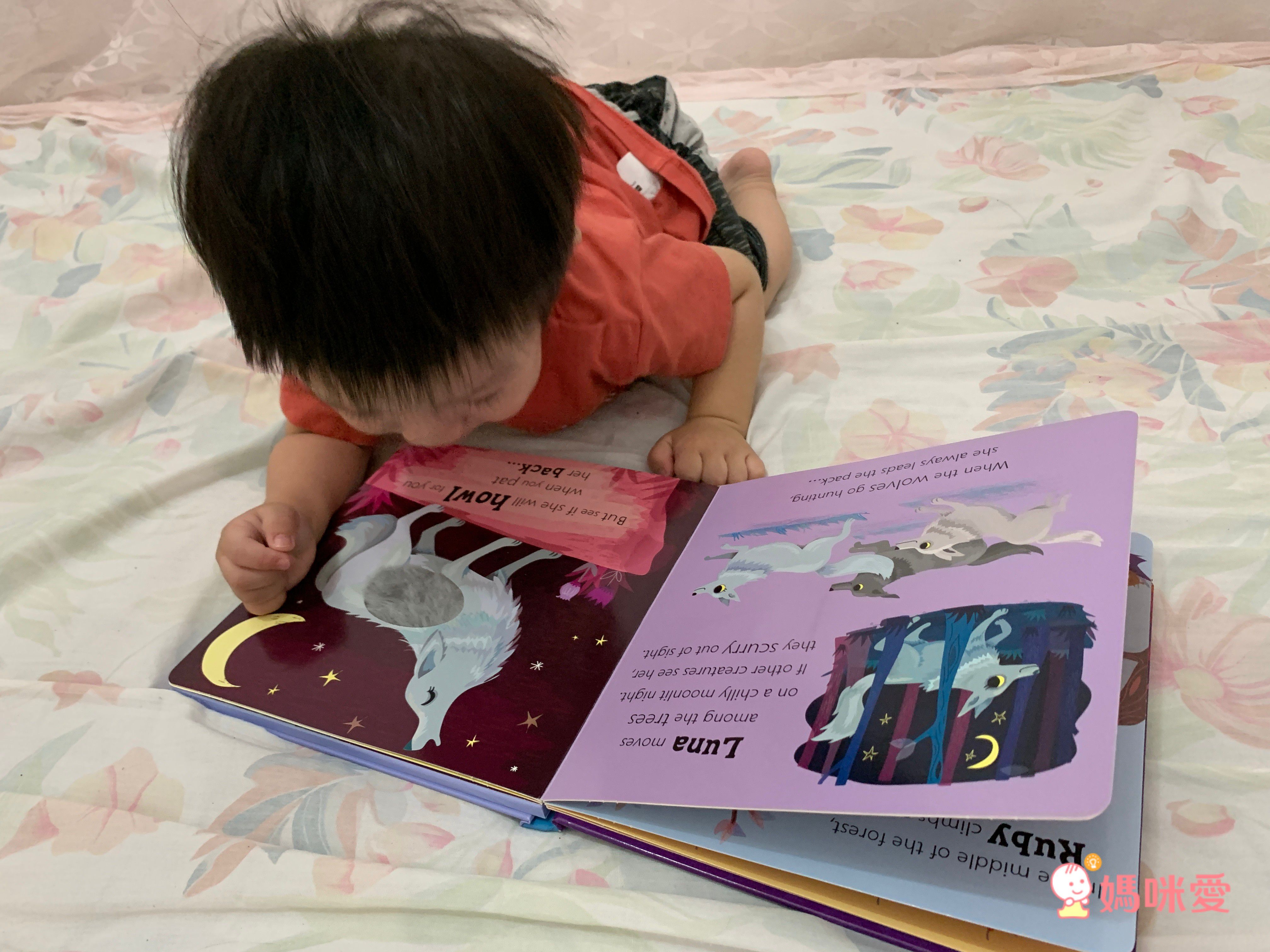 Owl says Hoot-Noisy Touch and Feel 熱鬧的森林夜晚 (觸摸音效書)