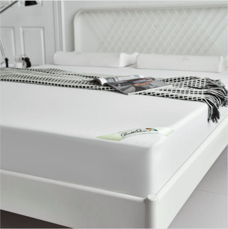 限時買1送1！【Arnold Palmer雨傘牌 】羽絨被/ 防水保潔墊