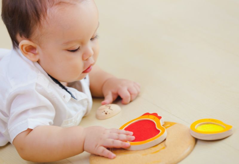 泰國 Plantoys - 雙面立體拼圖-母雞帶小雞