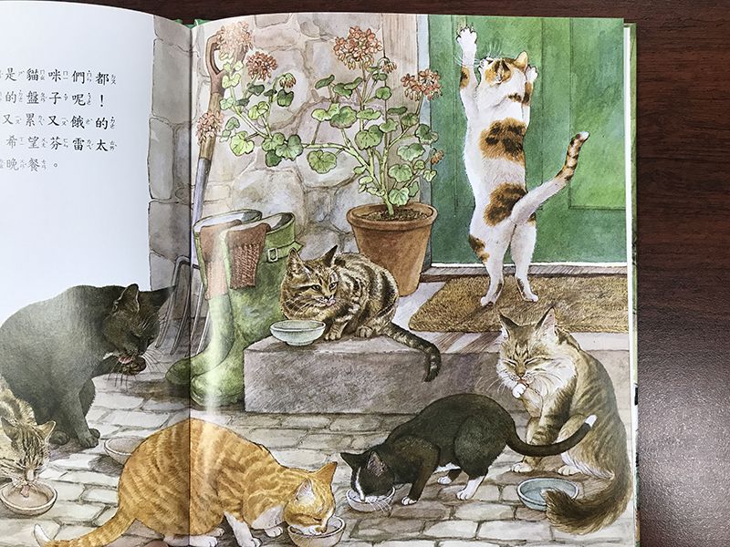 風境農場動物繪本-精裝6冊、故事點讀面板、導讀手冊-精美書架式書盒