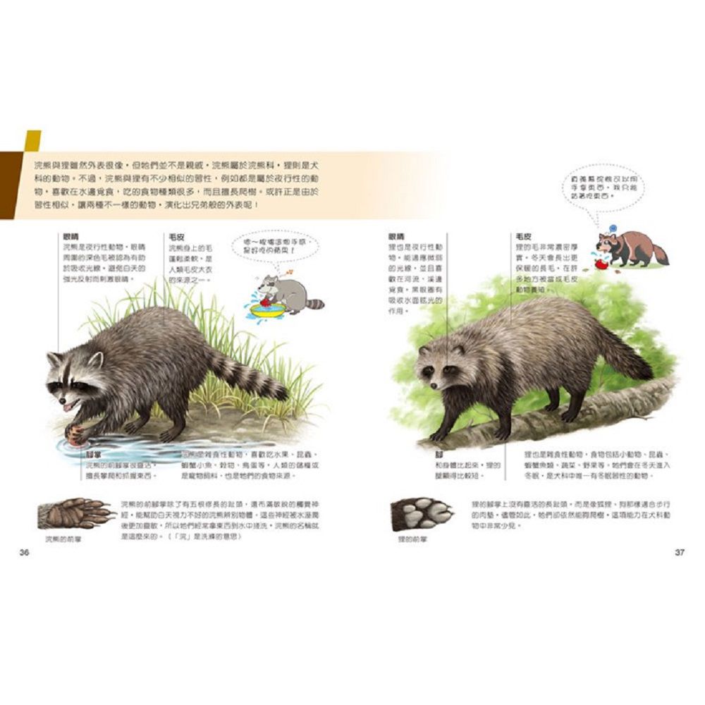 一樣不一樣-精裝-全彩-全套三冊/精裝/共168頁/25.2*20cm/彩色