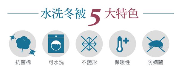 【 舒福家居 iSuFu 】水洗冬被 ☁︎ 防螨抗菌杜絕過敏！