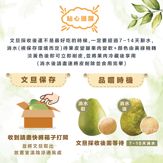 果子禮 - 35年喝乳酸菌長大的老欉文旦5斤X4箱