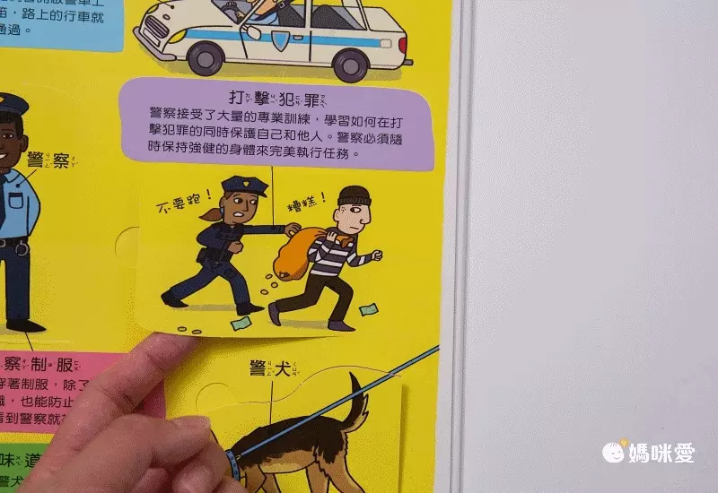 翻！身體-圖解百科翻翻書