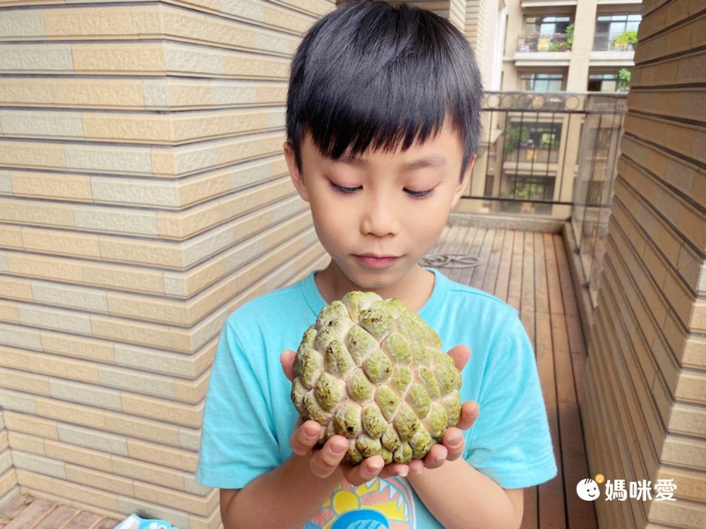 水果界的綠寶石【台東太麻里大目釋迦】產地直送！
