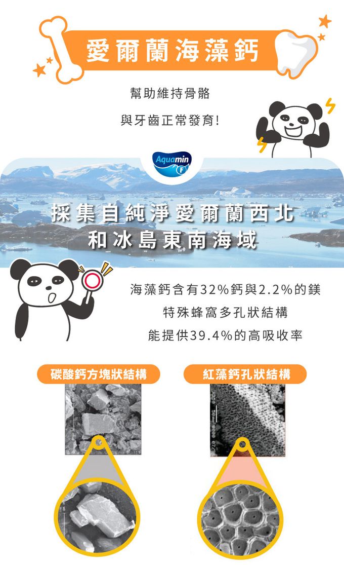 鑫耀生技Panda - 學習成長-植物性DHA粉+膠原海藻鈣粉-150g+300g