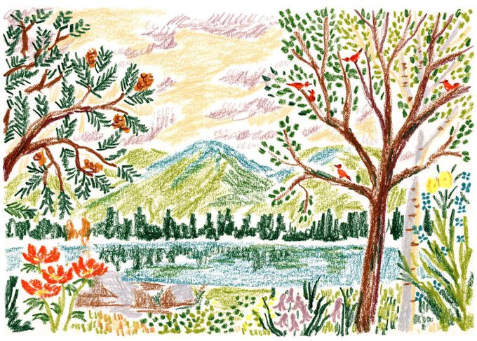 日本文具代購 - 日本製 Satellite Crayon Project 山的蠟筆-12色-沒有名字的顏色