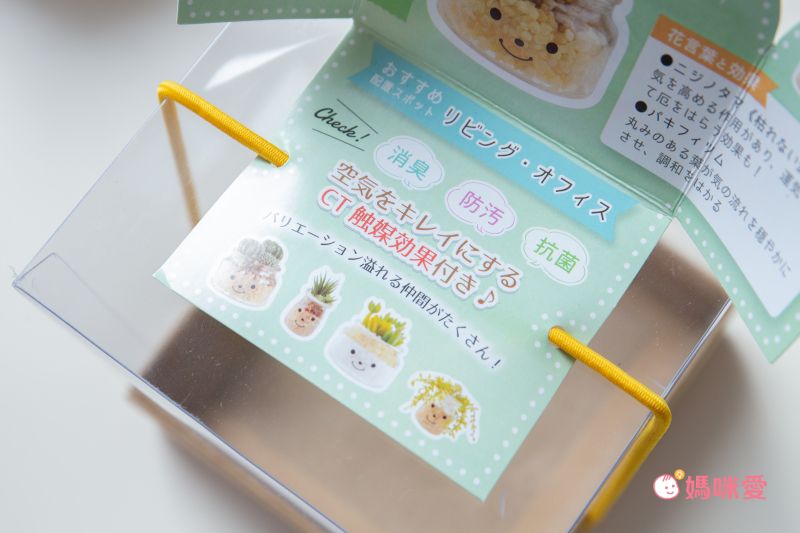 日本 KISHIMA - CT觸媒 開運消臭仿真多肉盆栽-防小人-Adele (S(6.5x7x11cm))