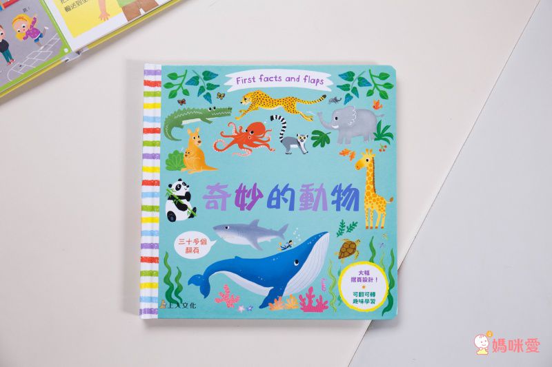 ★打造聰明好腦袋★益智翻翻小百科 / 童趣推拉轉操作書大集合！