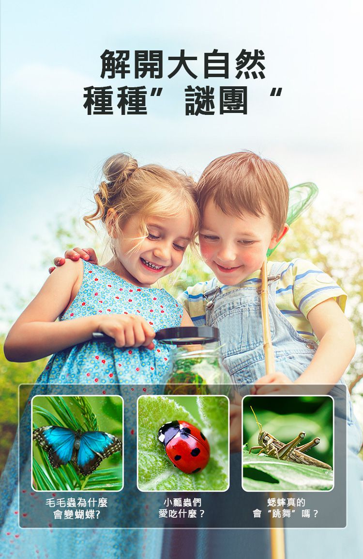 MiDeer - 昆蟲觀察盒