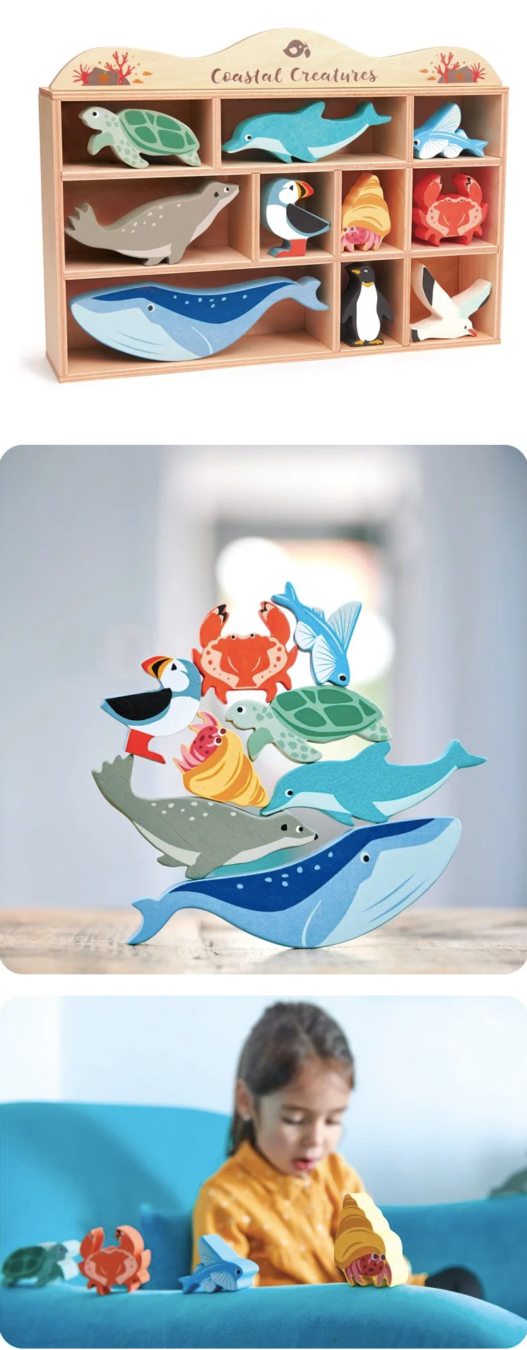 美國 Tender Leaf - 海洋世界