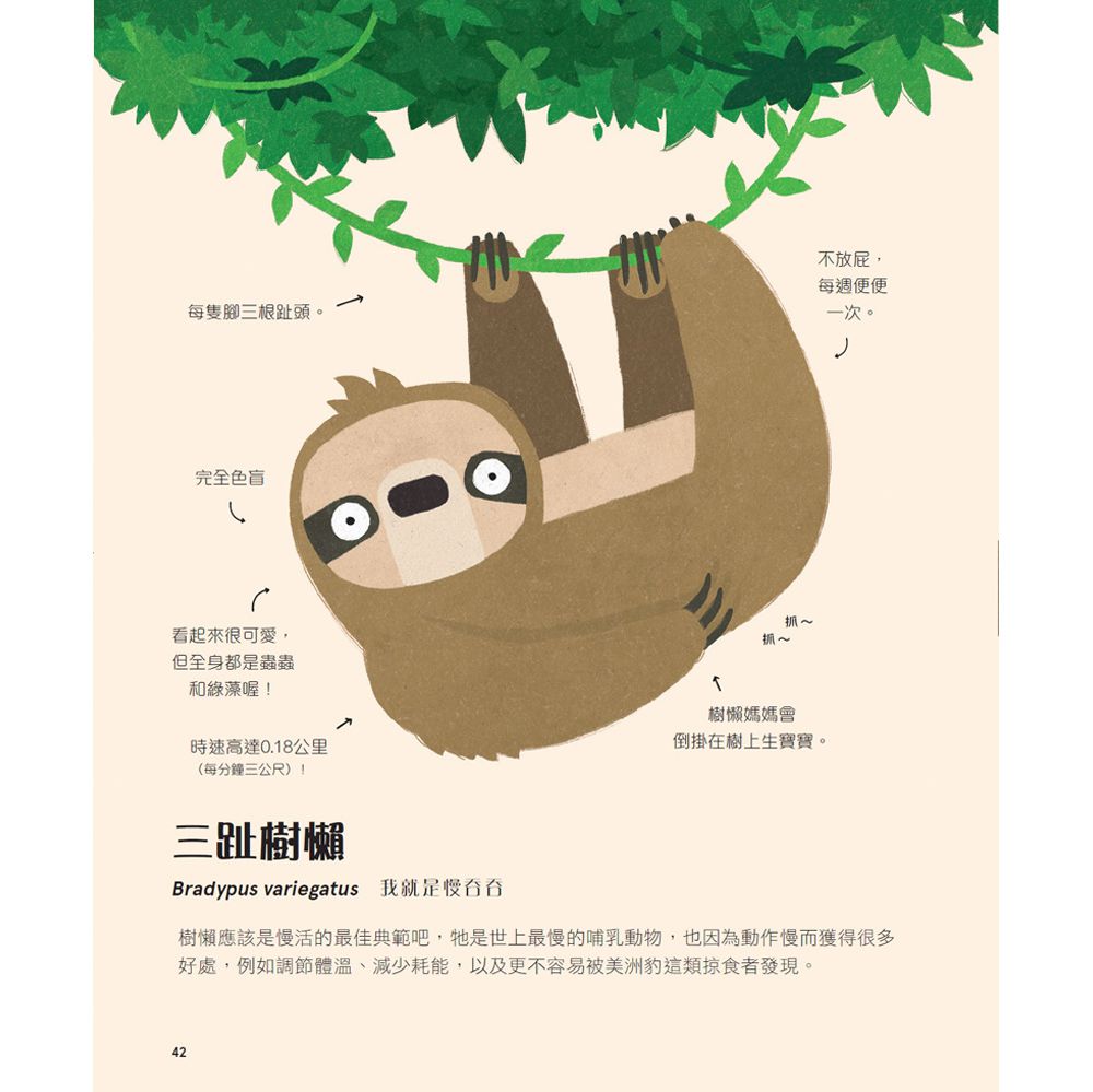 不可思議動物大集合-精裝