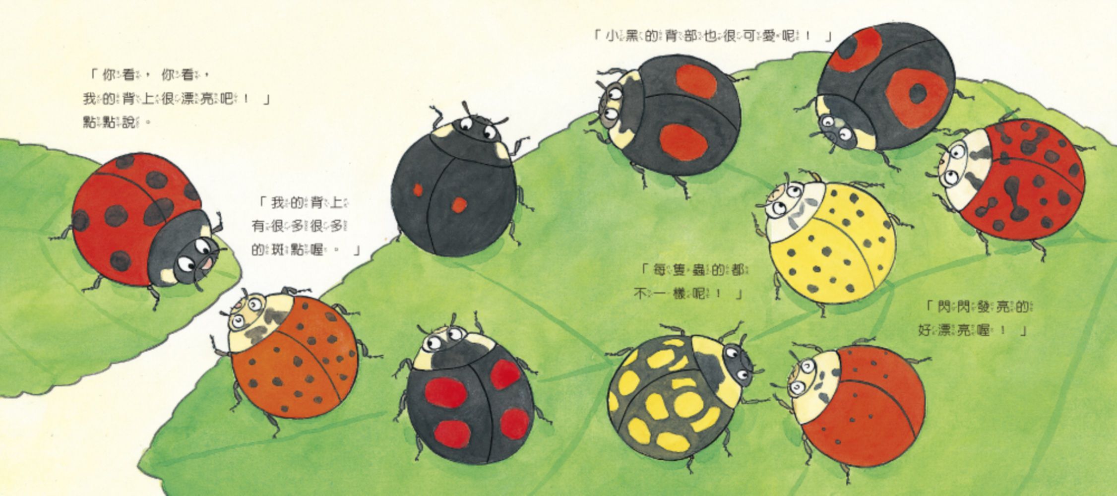 【認識蟲蟲世界】-小瓢蟲來玩耍