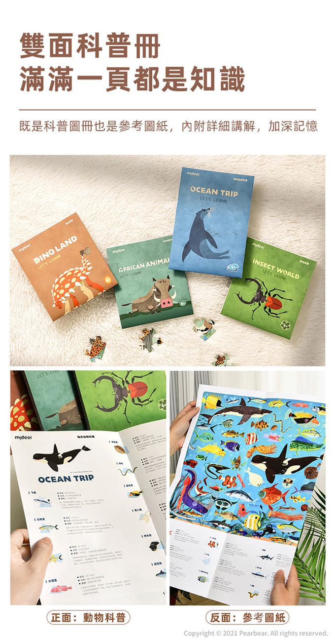 MiDeer - 圓筒百科拼圖-恐龍大陸(126片)