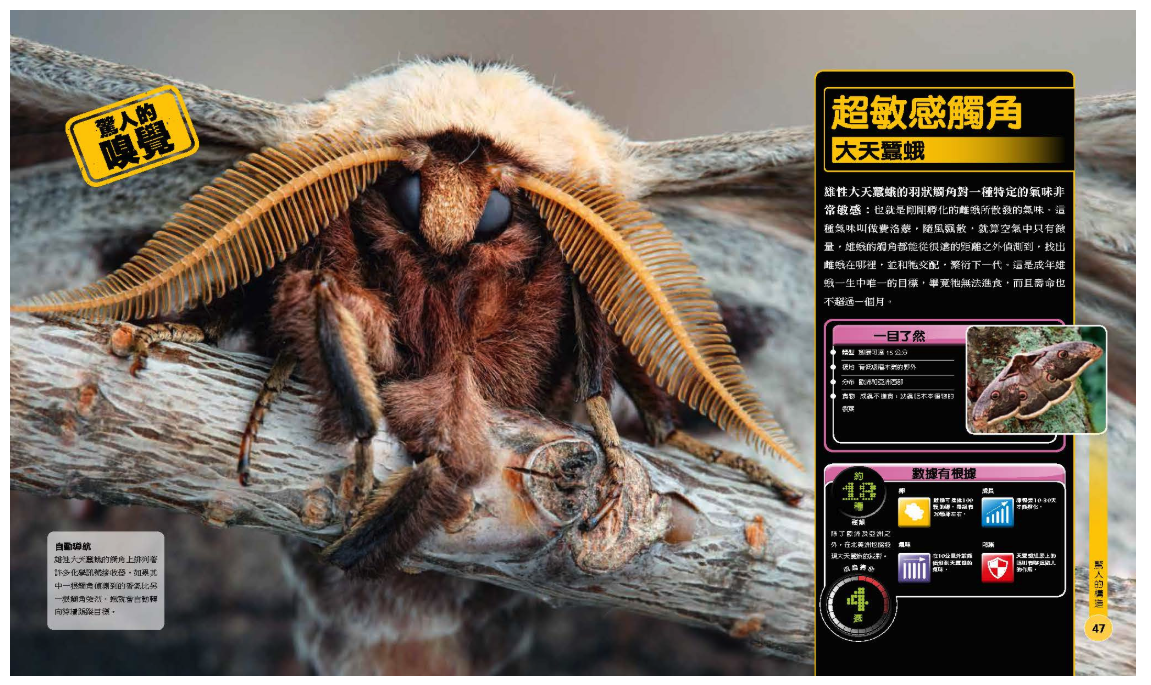 超能力昆蟲百科：地球上最大、最快、最致命的昆蟲與節肢動物 (精裝 / 208頁 /全彩印刷)