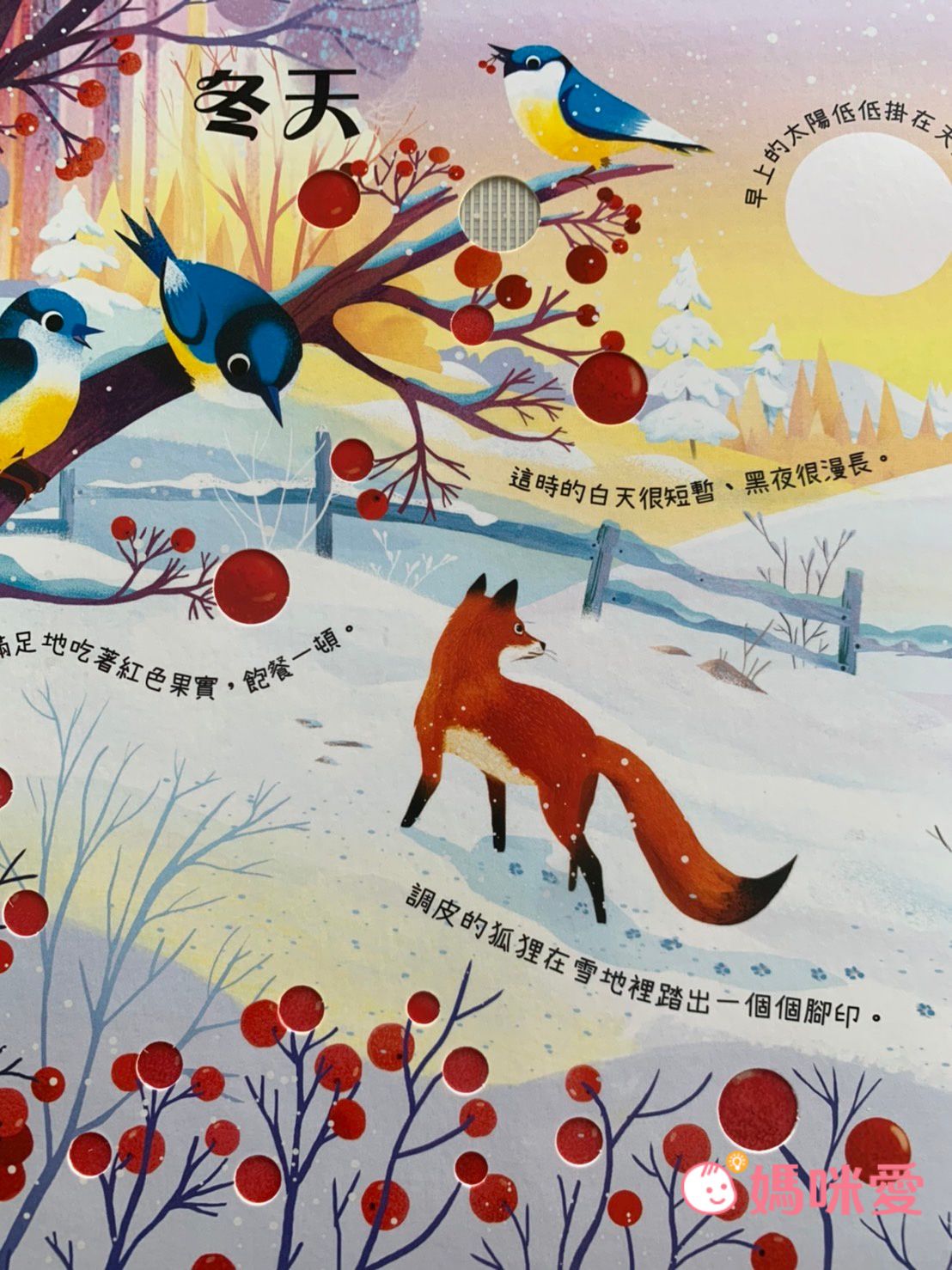 全球銷售破30萬冊【禾流文創動手玩童話系列】