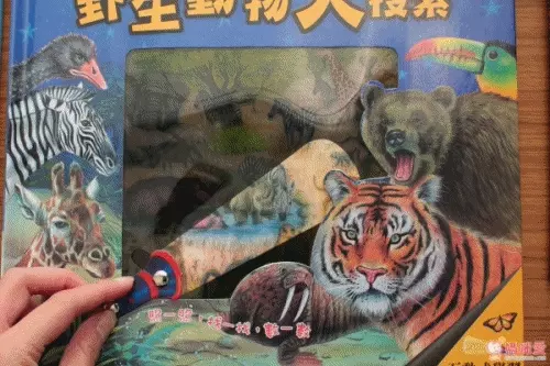 閣林文化 驚奇酷搜小百科✖魔法夜光書