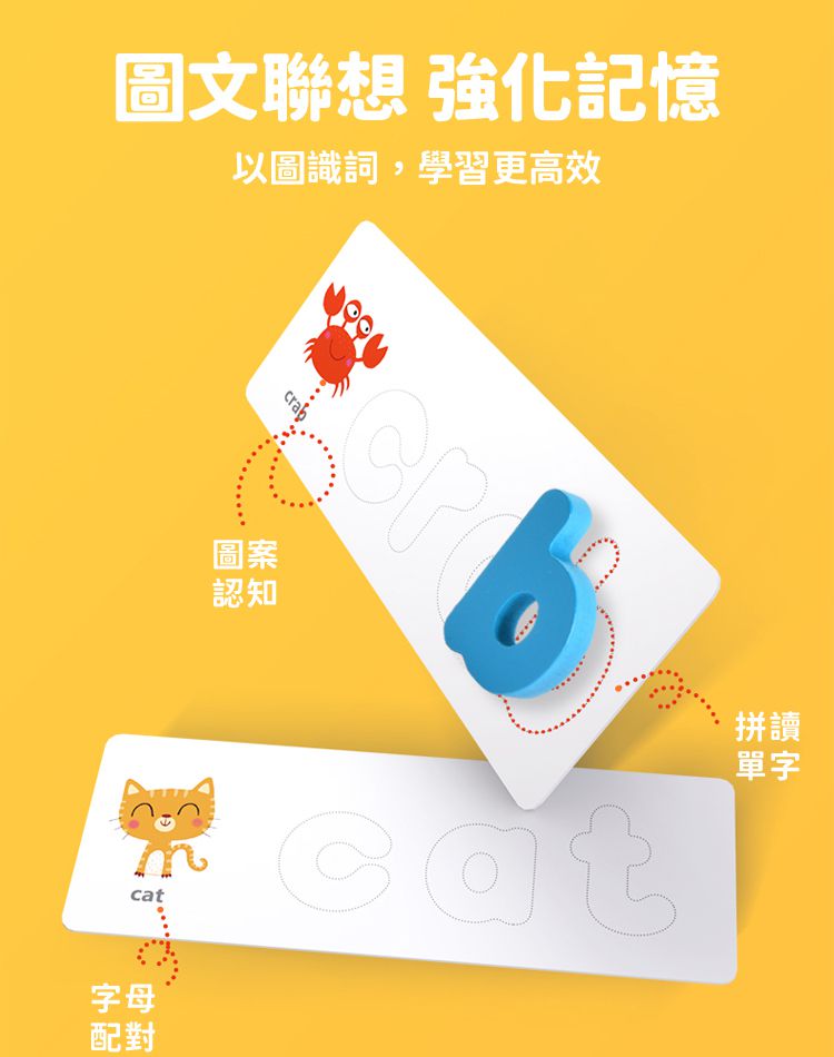 MiDeer - 木質英文早教拼字遊戲組