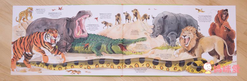 來自英國 最暢銷童書出版社【Usborne】知識遊戲書 ★ 展開超大「大圖大頁百科書」