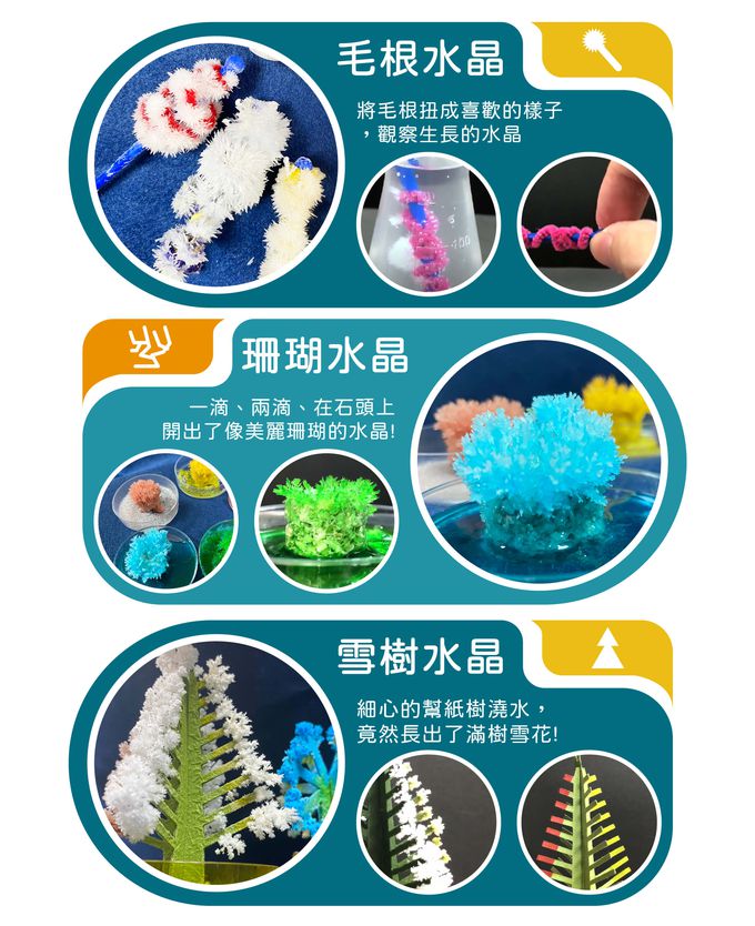 Eagle's 益科思 - 5in1-水晶實驗組