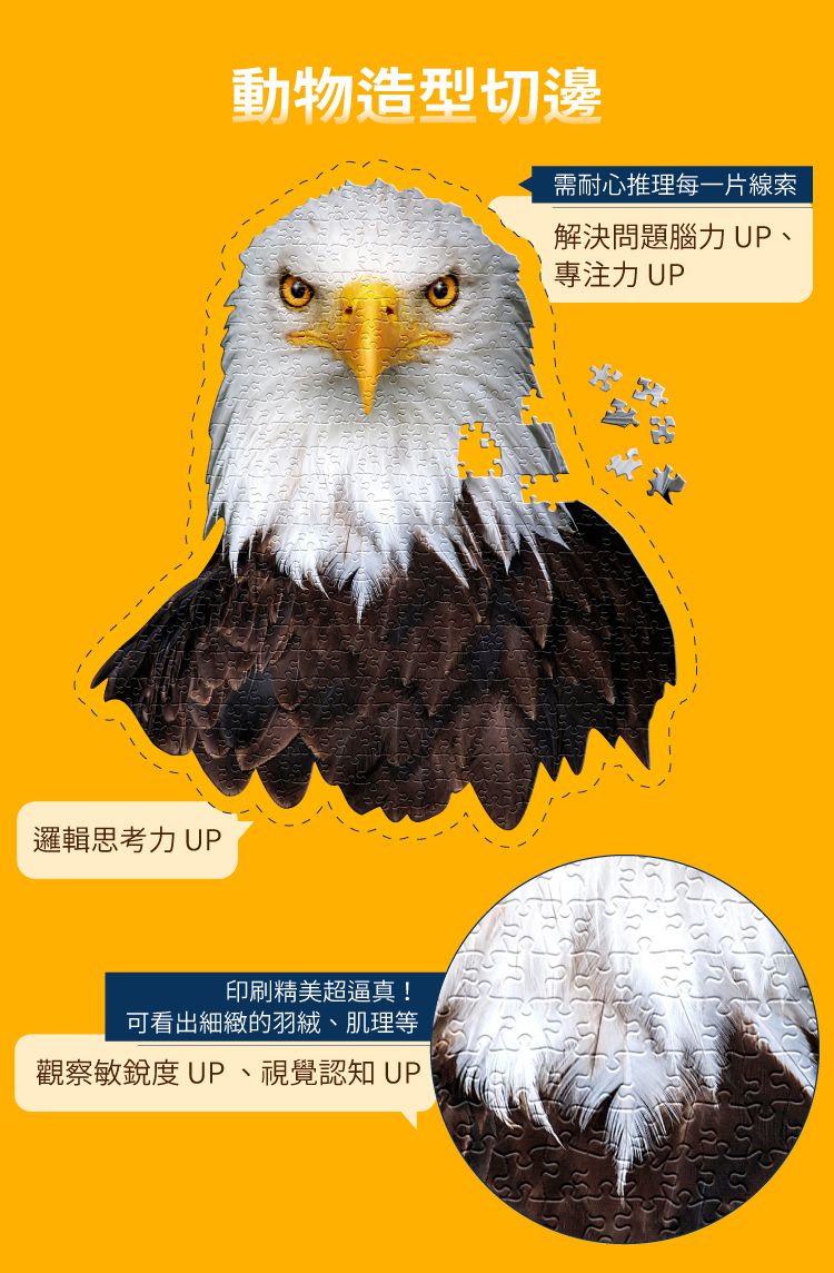 Madd Capp - I AM 動物拼圖-550,我是老鷹