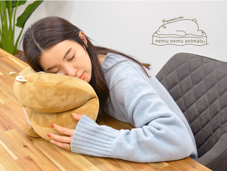 挺胸不駝背！日本 LIV HEART ♡ 坐姿調整抱枕，動物造型超療癒