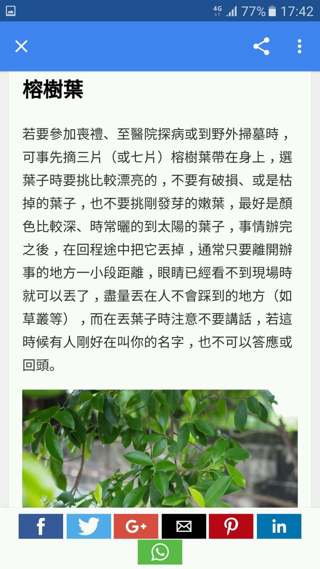 帶葉子在身上，回程時丟掉，回到家不要說話，直接去沖洗澡~