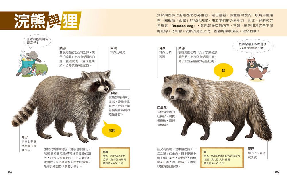 一樣不一樣：陸生動物【A級福利品特惠】-全彩 (單本)-精裝