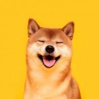 用戶頭像