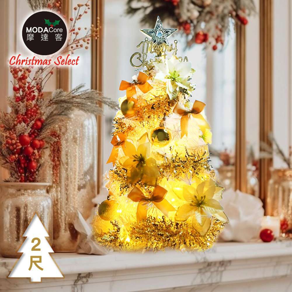 台灣製2尺(60cm)精緻白色聖誕樹+富貴雙金聖誕花系飾品組+50燈LED燈串暖白光-USB電池盒兩用充電/本島免運費MIT歐美外銷款