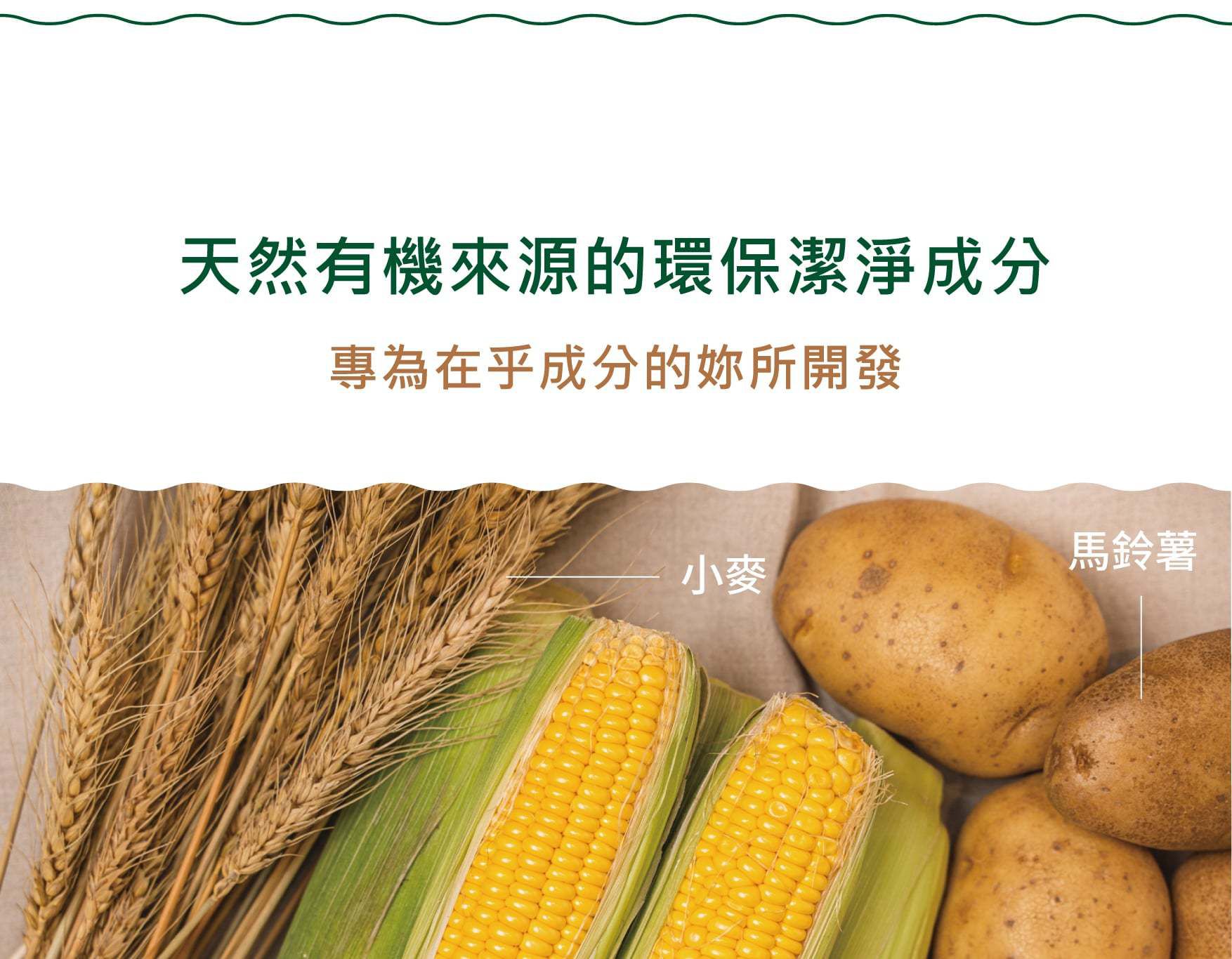 APOMAN 驅虫少年 - 萬用清潔劑-萊姆薄荷-環保無噴頭款-315ml