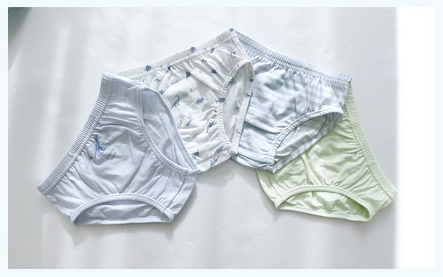 (4入組)男寶無螢光輕柔棉三角褲-條紋X恐龍