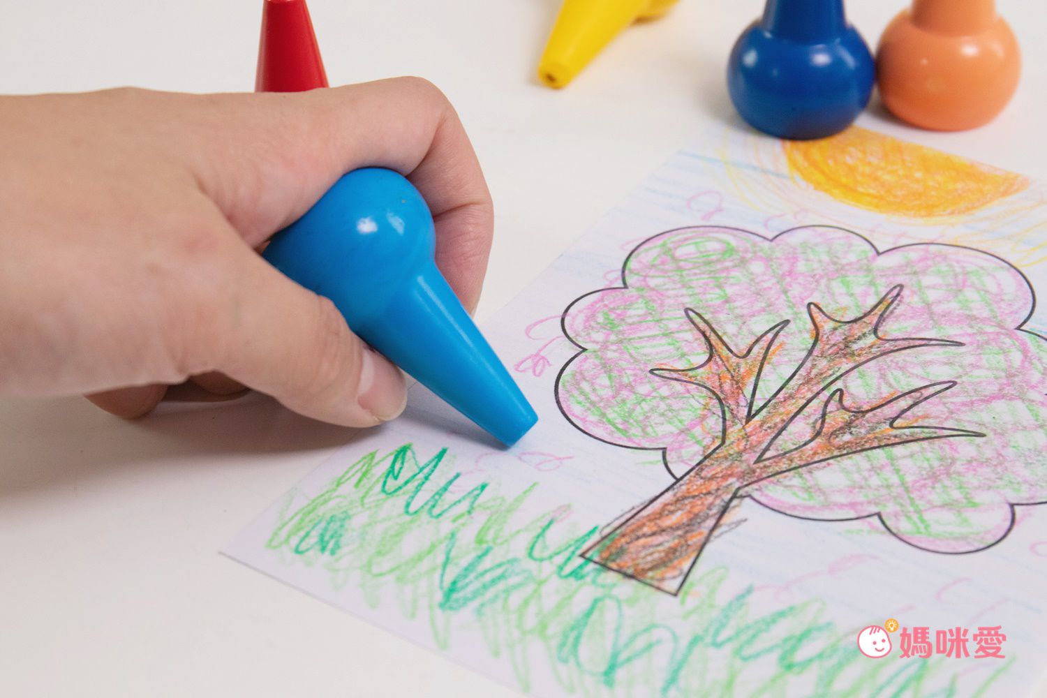 樂彩森林 - 手握式蠟筆繽紛6色組(內附16張著色紙) (24x14.5x4.5)