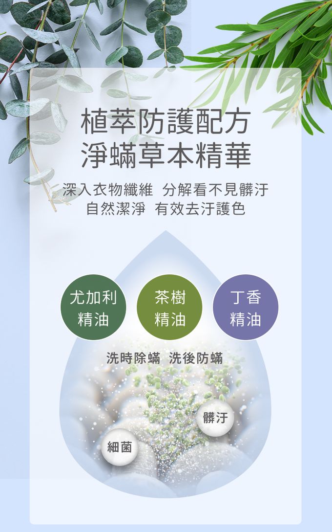 nac nac - 新品-抗菌防螨嬰兒洗衣精-3包-1100mLx3