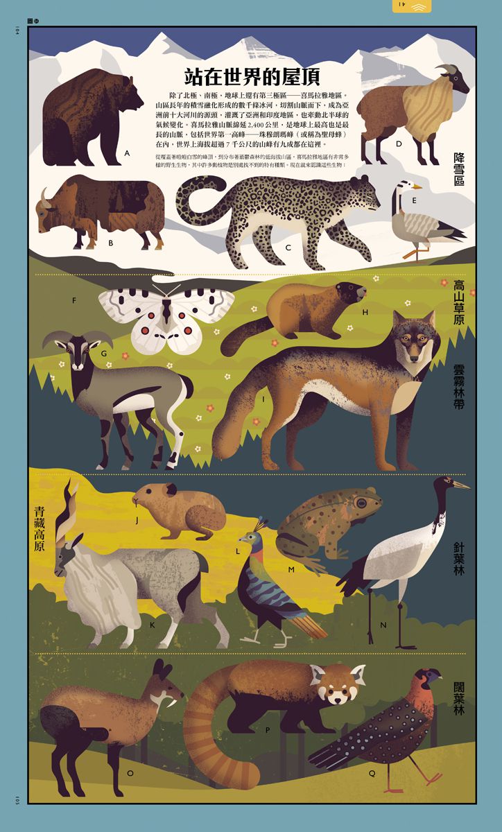 自然大視界：不可思議的生態奧祕圖鑑