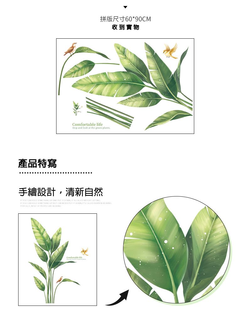 居家裝飾壁貼-角落植物