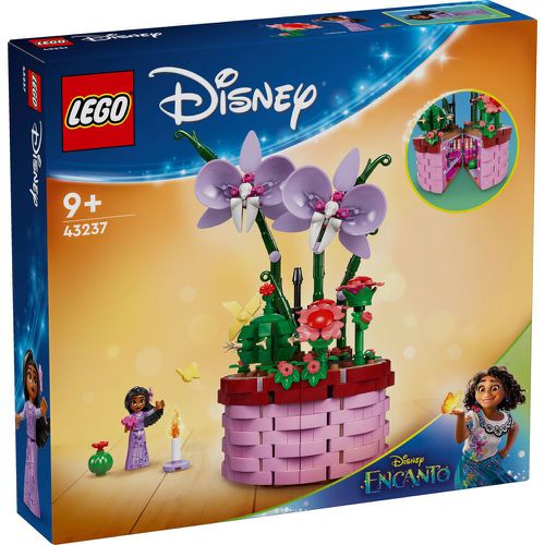 樂高 LEGO - LEGO樂高 LT43237 Disney Princess 迪士尼系列 - Isabela"s Flowe