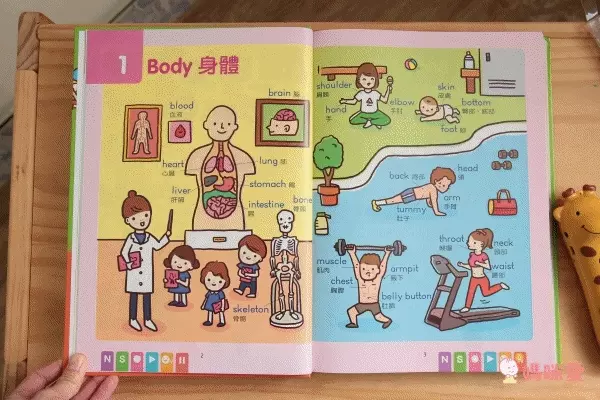 世一文化主題式圖解彩色兒童英漢點讀字典