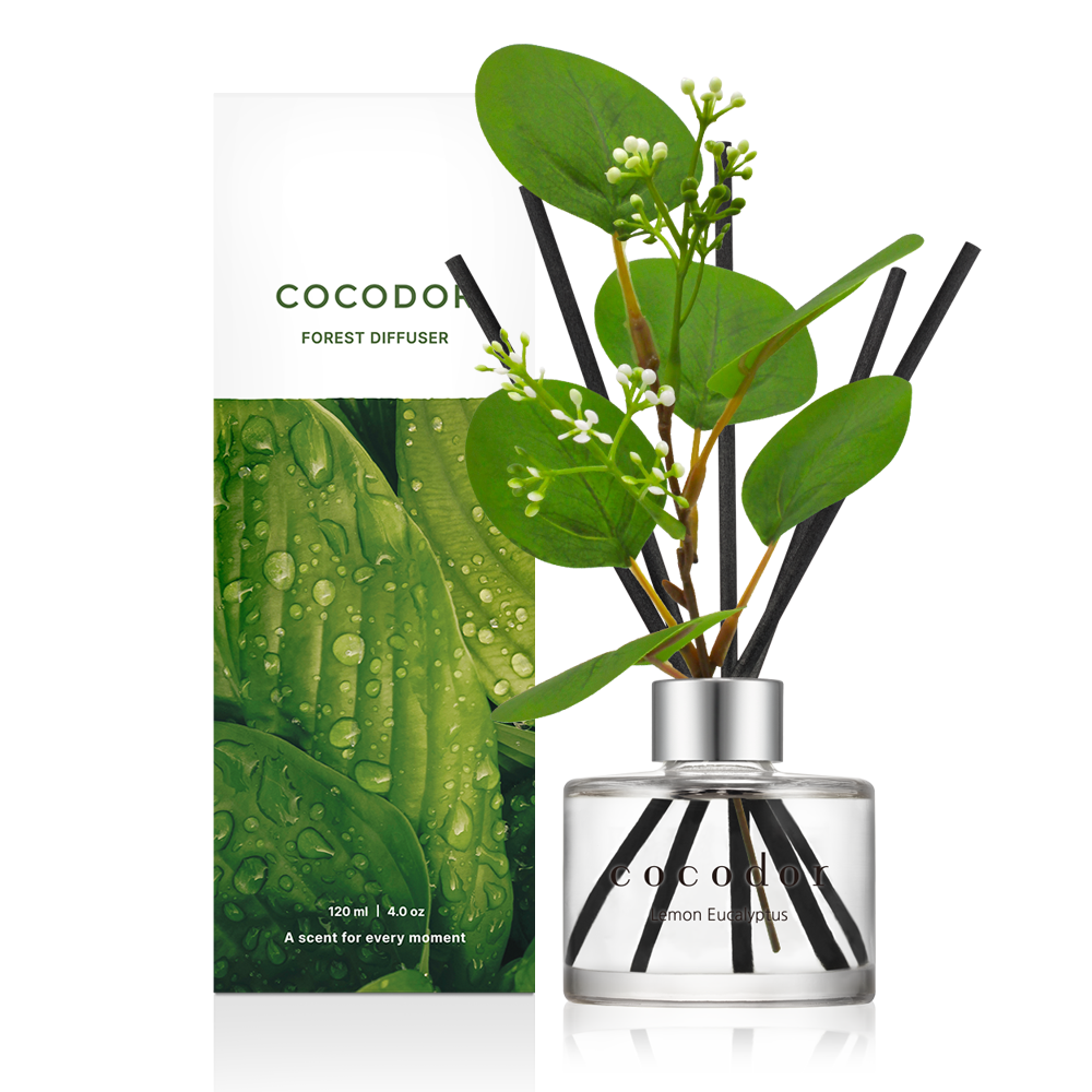 韓國 cocodor - 森林系列擴香瓶120ml-檸檬尤加利