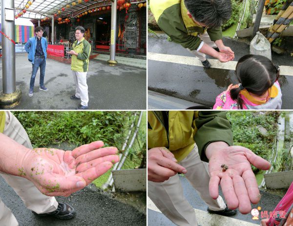 陽明山天籟渡假酒店(YANG MING SHAN TIEN LAI RESORT & SPA)