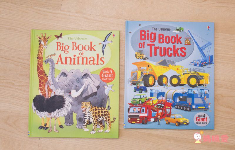 來自英國 最暢銷童書出版社【Usborne】知識遊戲書 ★ 展開超大「大圖大頁百科書」
