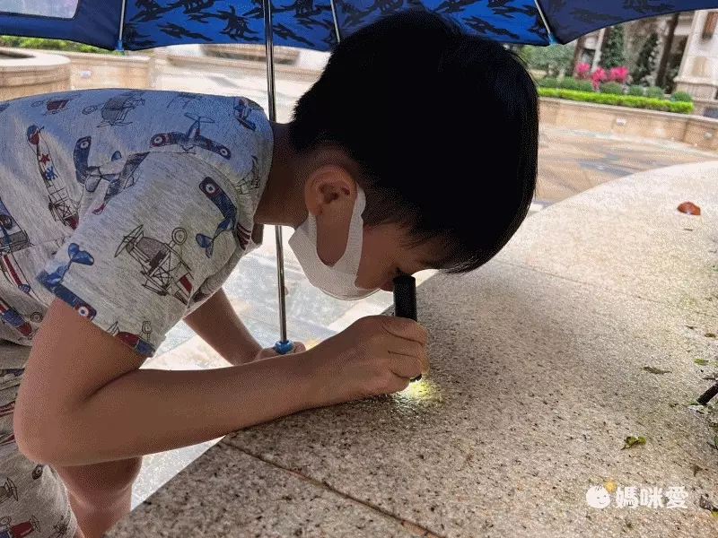 德國 Moses - 小探險家-口袋型顯微鏡